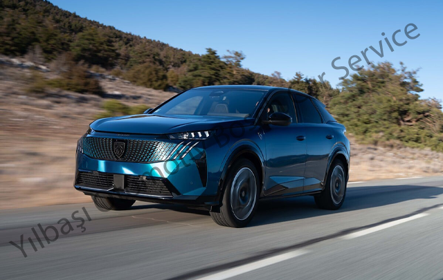 Peugeot İlk Bakım Hizmetlerimiz